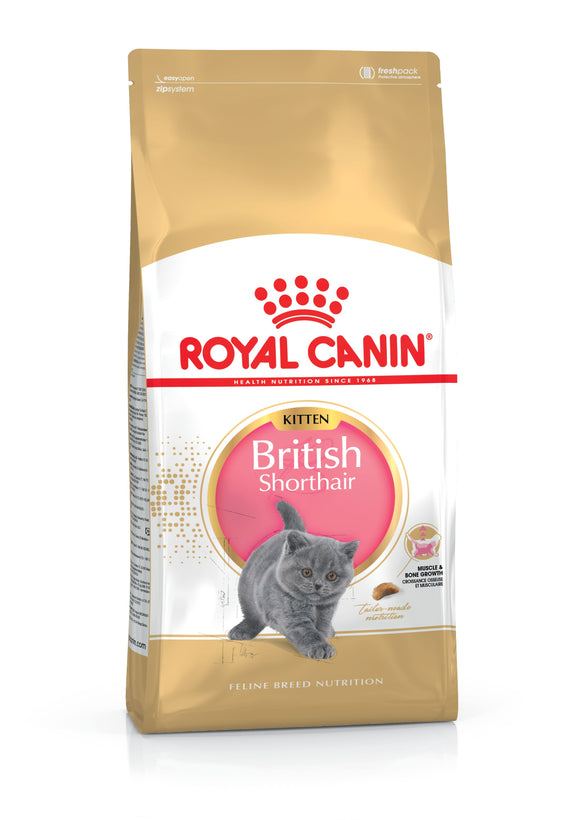 Royal Canin British Shorthair Kitten 英國短毛幼貓配方